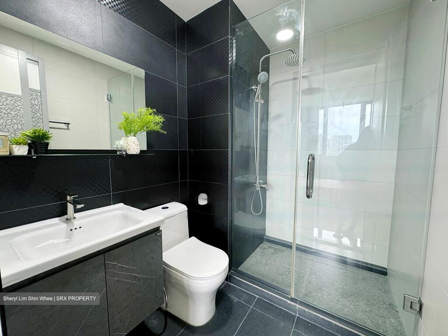 Haig 162 (D15), Apartment #424970381